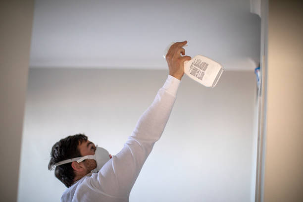 Best Mold Testing and Removal  in Hlside, IL