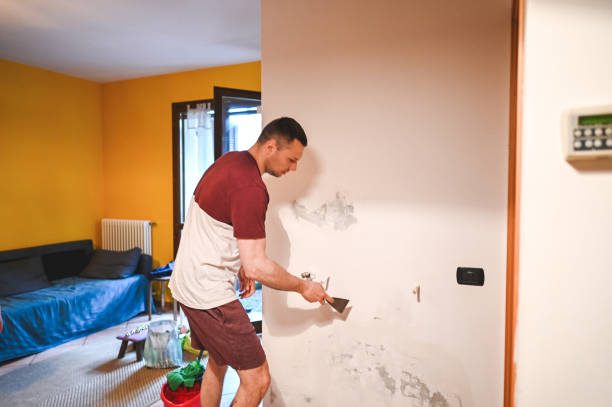 Best Attic Mold Removal  in Hlside, IL